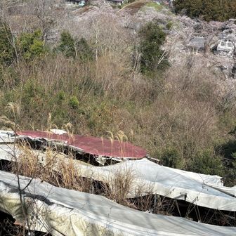 おぉ
これがあのラブレター💌

芸術作品は遠目で見た方が良いものもある、と思いました