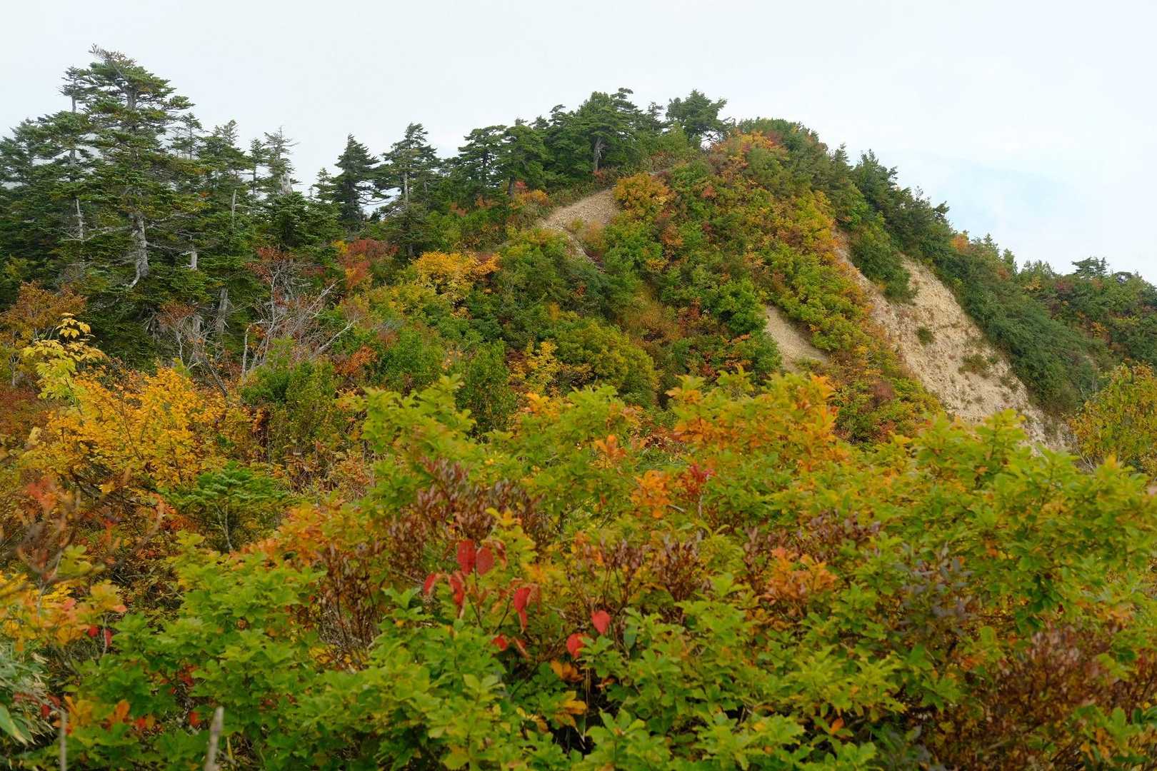 野谷荘司山に向かいます
