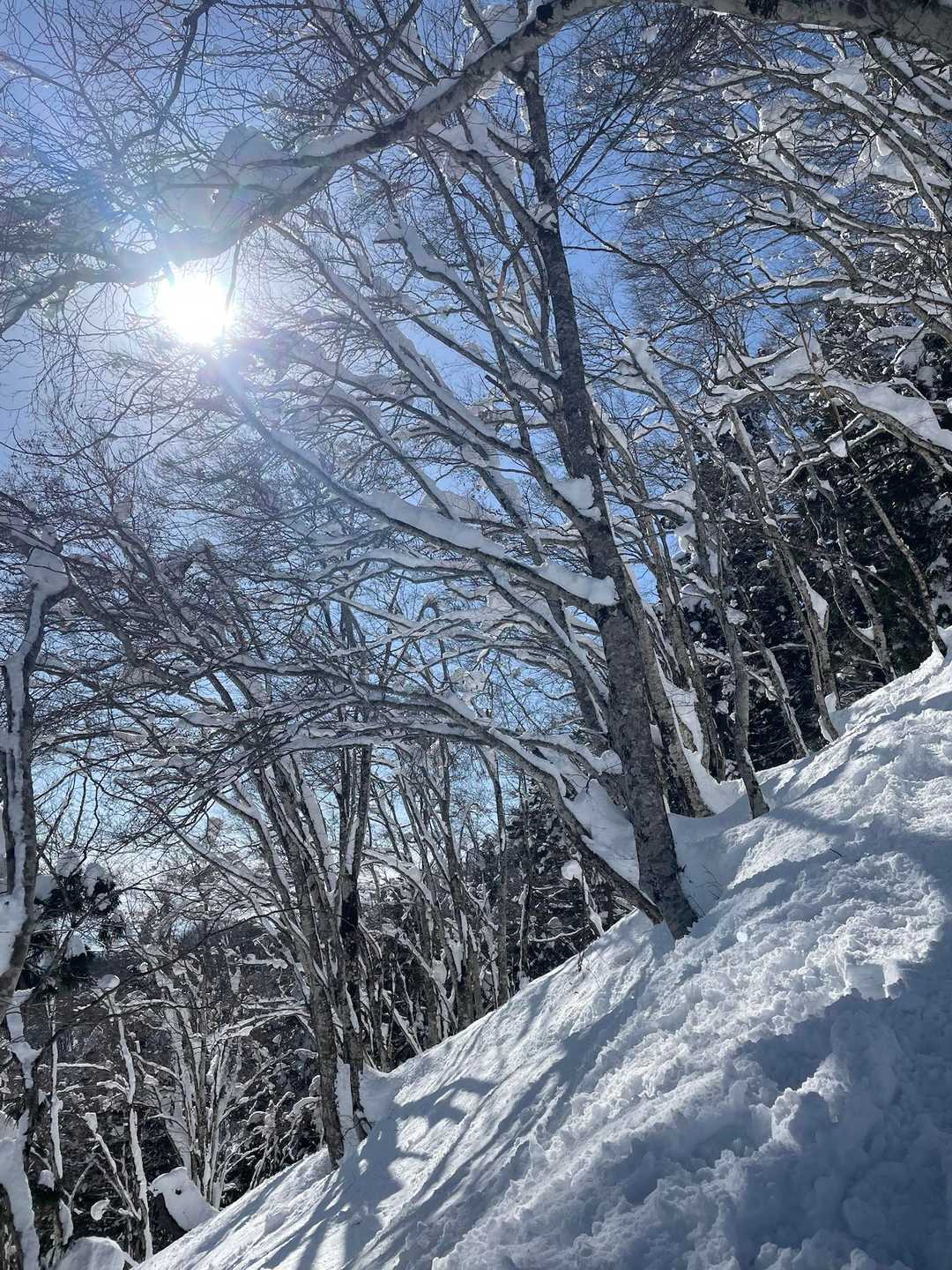 急登