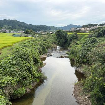和束川