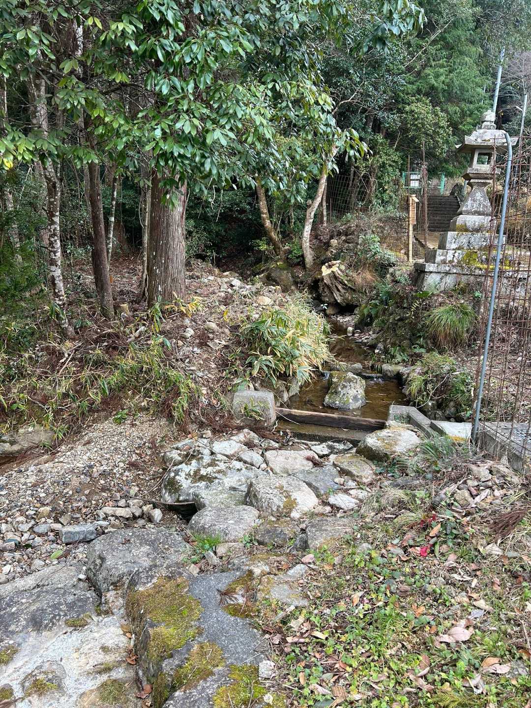 金輪寺-半国山 往復コースの写真