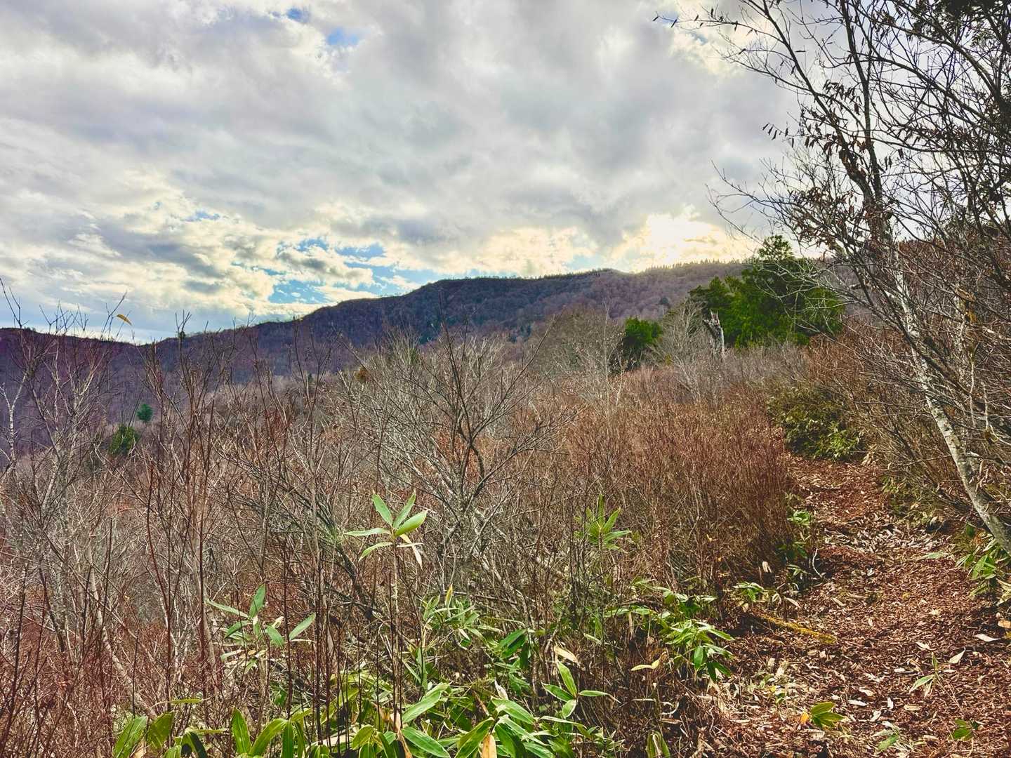 たぶん栂峰