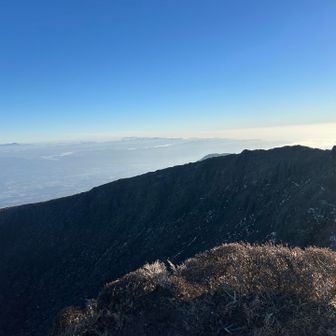 でもしばらくは動けません🥰