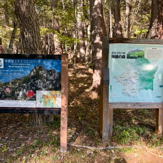 帰りは駐車場側の登山口🅿️で下山
入り口に案内板あるけど、
初見だと絶対見つけられないと思う😤