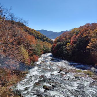 竜頭の滝上からの紅葉