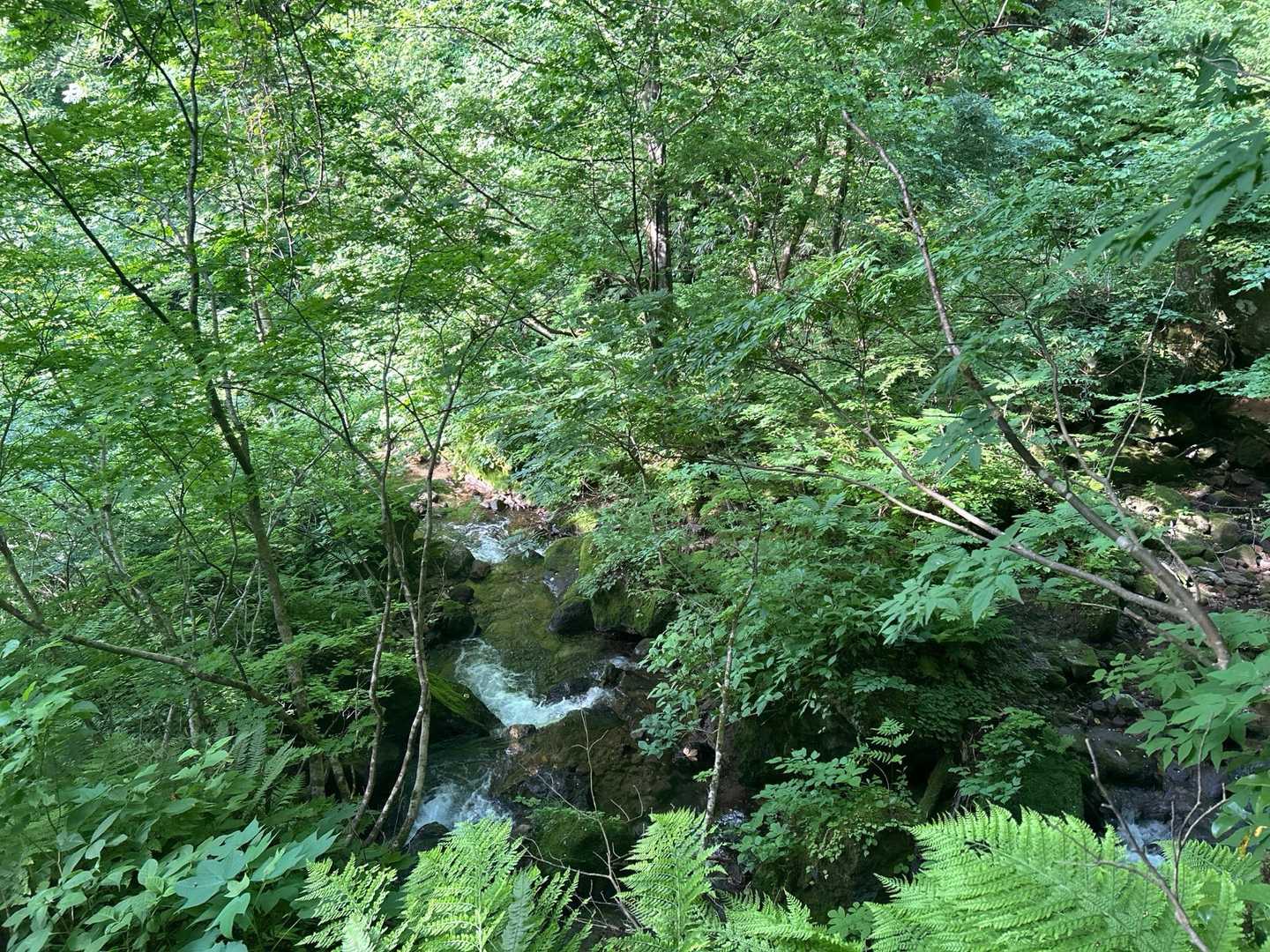 川沿いは爽やか
