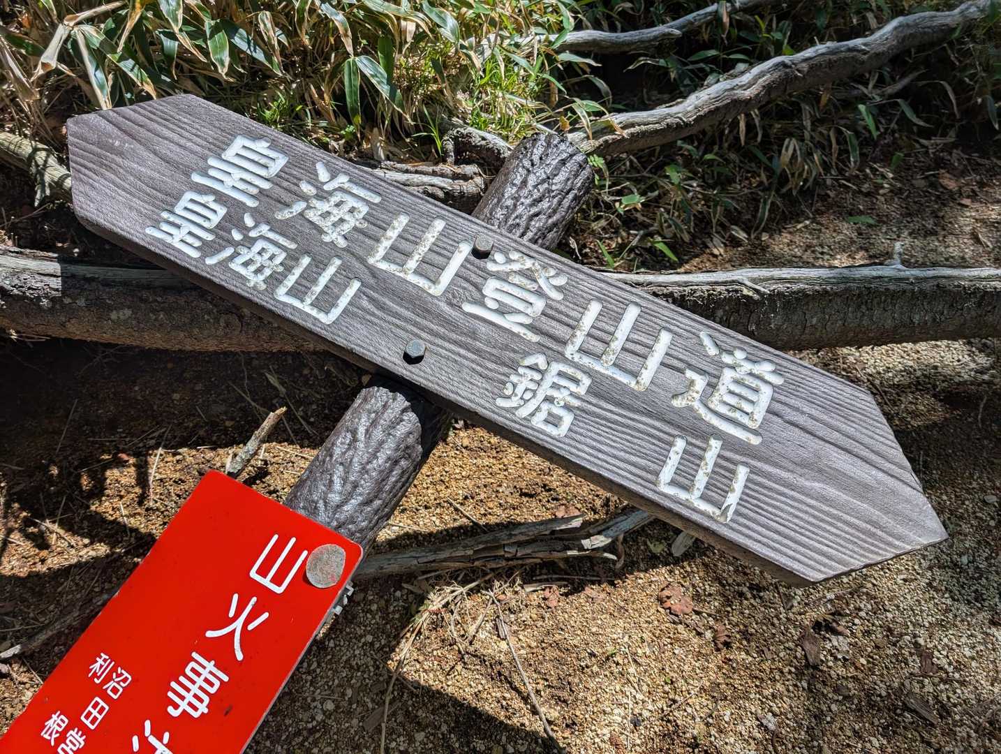 いざ皇海山へ‼️

登頂して下りてくる方々たちに“あともう少し！”と励まされて力をもらい、前へ進みました🚶🚶