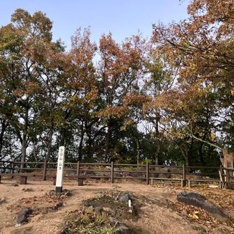 万日山⛰️山頂到着👍😉✨　
ﾔﾏｶﾞﾗ🐦‍⬛居なさそう😅