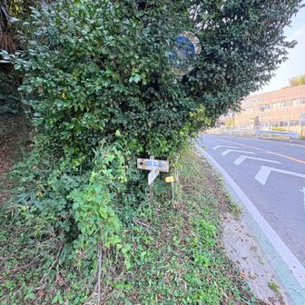 しばらく一般道を歩いて、ここから入ります
でもここの道は蜘蛛の巣🕸️🕷️だらけで写真を撮るなんて気分にはなりませんでした。