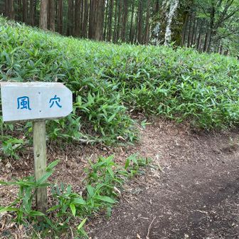 元来た道を、風穴へ下山