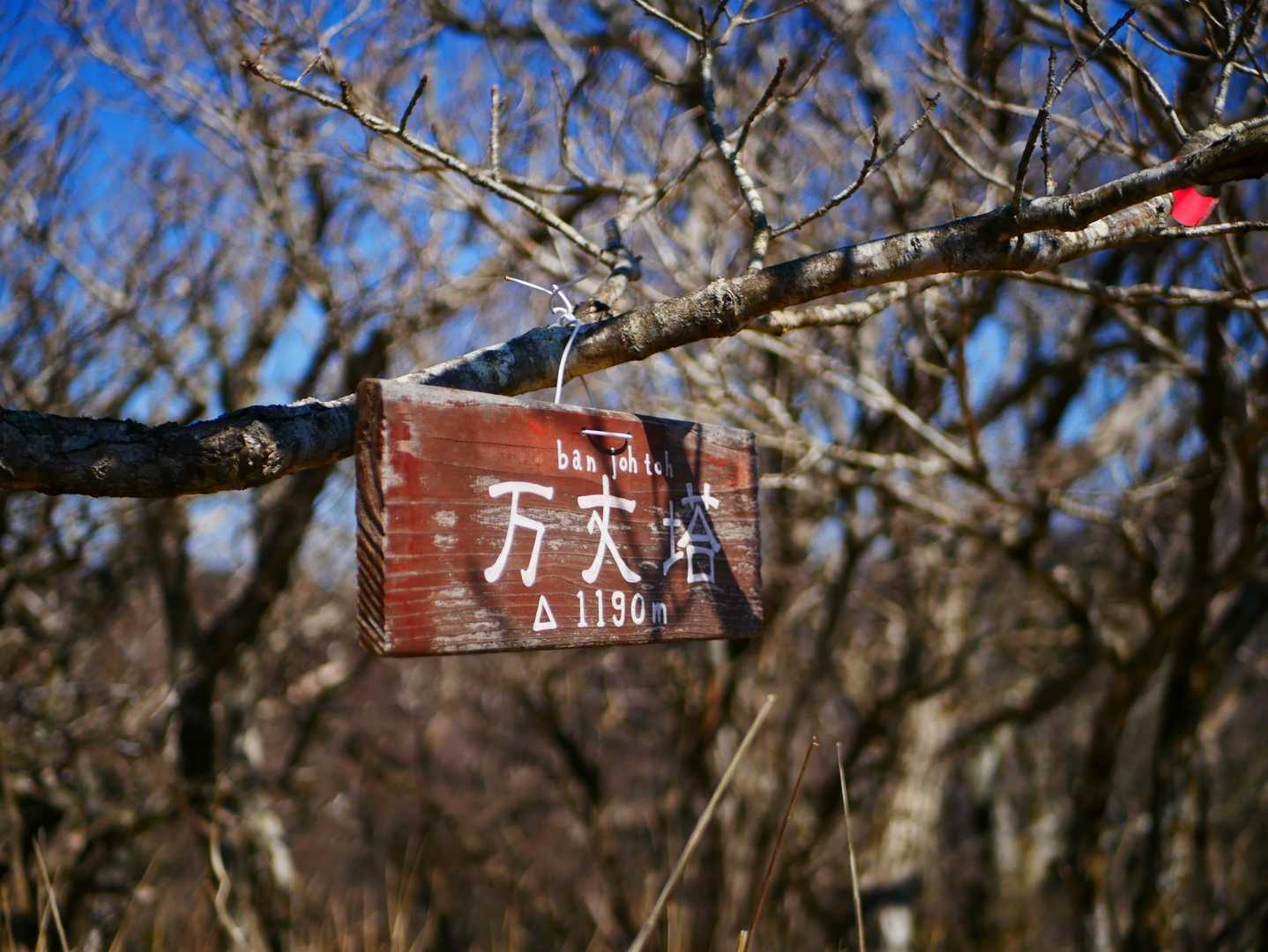万丈塔山頂⛰
本日はお目当てさんが待っているので
周回下山