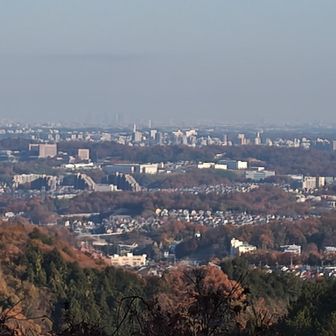 う〜ん🤔スカイツリーは何処🤔？撮った方向が違うかも---🤣