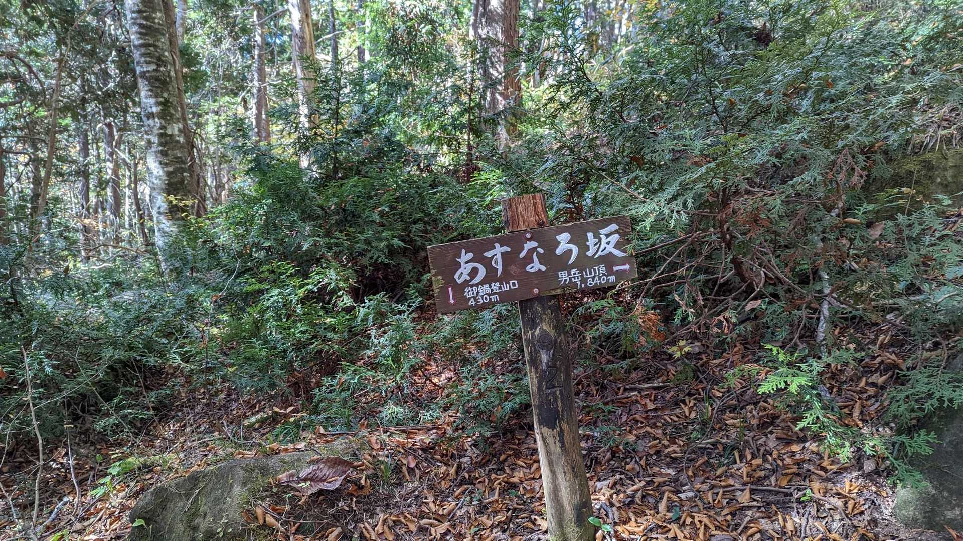 あすなろ坂
この辺りの針葉樹はアスナロの木のようです🌲
由来「明日はヒノキになろう」だそうですがヒノキに劣らず耐朽性に優れ腐りにくく土台等の建材として使われているようです