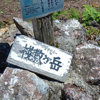 桟敷ヶ岳
山頂..
関西百名山..