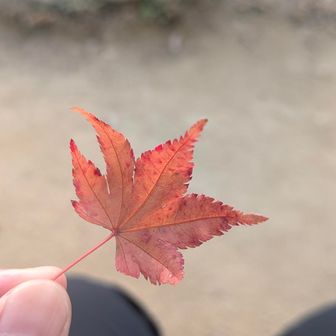 さ、下りましょか。