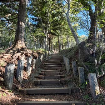 続いて木の階段