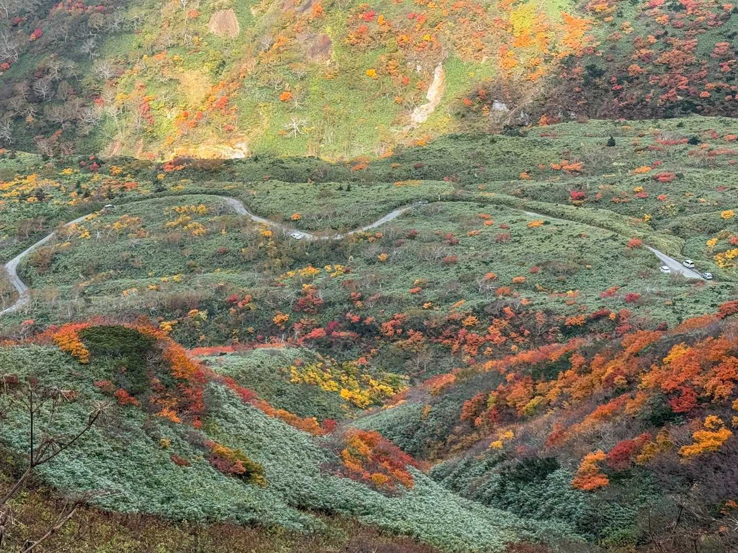 秋田駒ケ岳八合目登山口 往復コースの写真