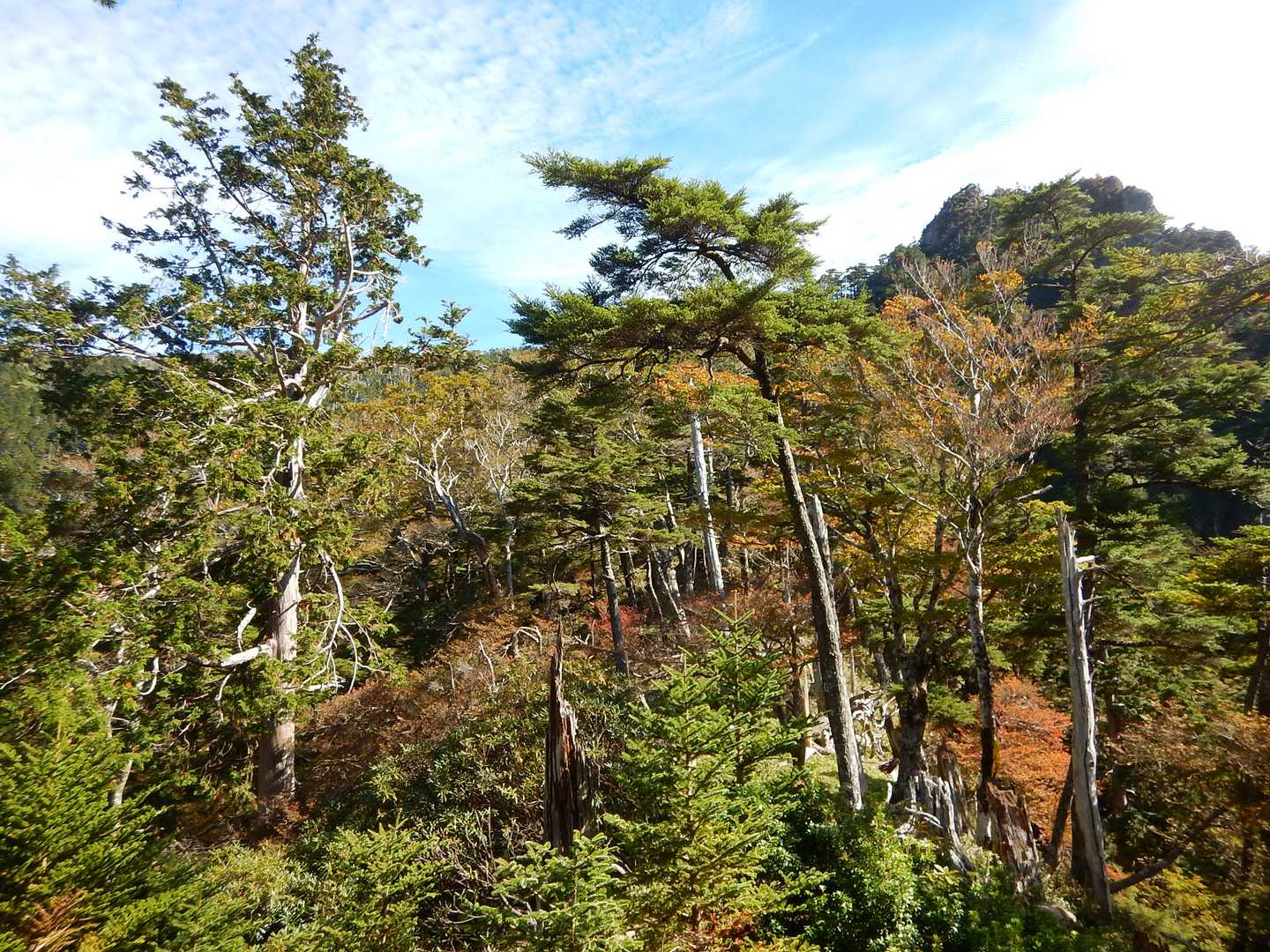 大峰らしい😻