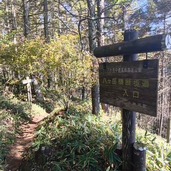 もうちょい