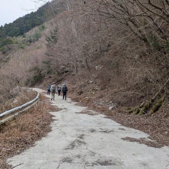 林道歩きが続く…昔あったらしいパークランド跡地を巻いて歩く