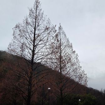 naomi ₍ᐢ⓿ᴥ⓿ᐢ₎🦝