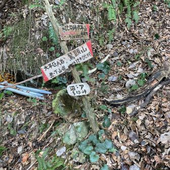 多比峠、ここ間違えてしまいました。