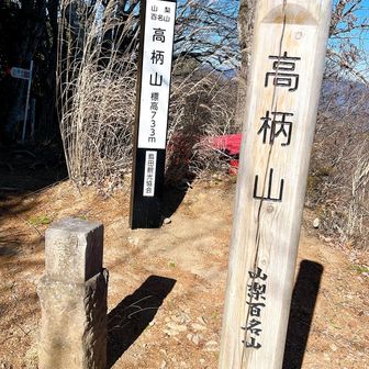 高柄山着。野犬ぽい鳴き声がずっと聞こえてます。