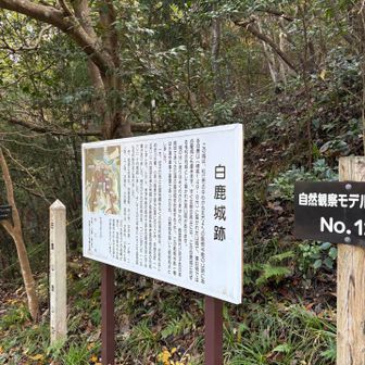 道路に降りて、次は白鹿山