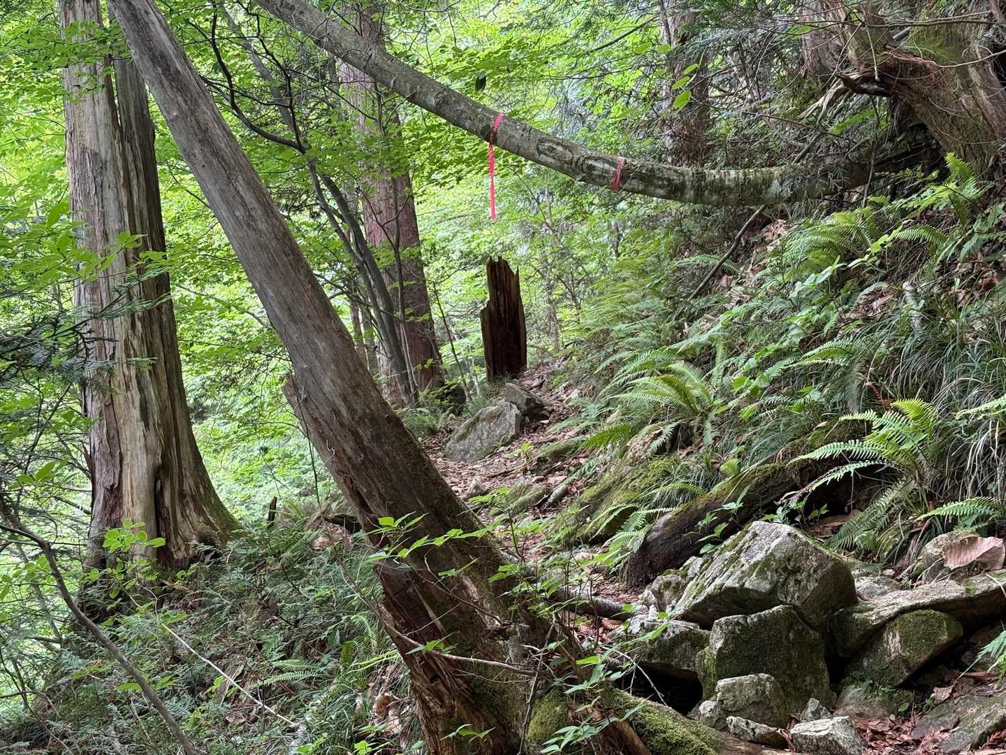 😳！
🐻に見えたー😮‍💨
