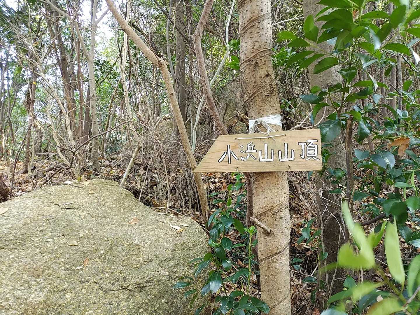 案内もしっかり👌