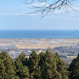 山頂から太平洋が綺麗