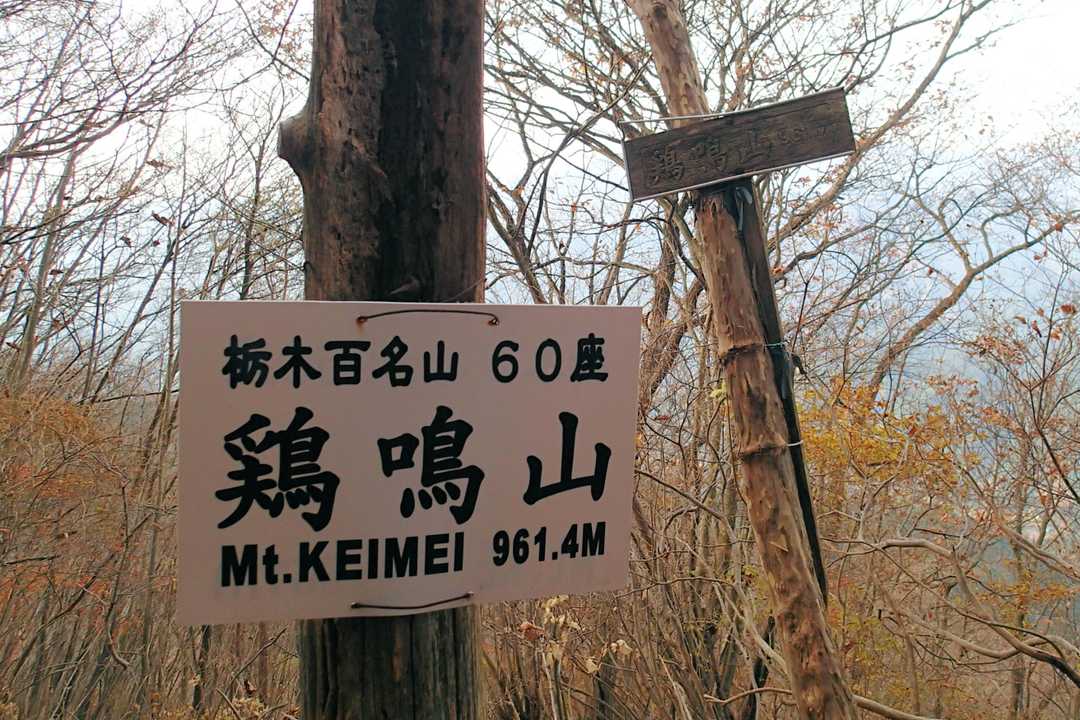 本物の山頂に到着ッス(⁎˃ᴗ˂⁎)
この先では…