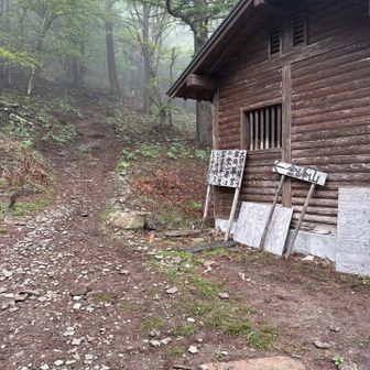 金峰山へ登山開始。ほとんどの方は瑞牆山へ向かっていました。金峰山への道中あまり人と出会わず