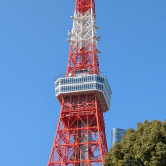 さぁ～
(土)(日)㊗️に解放されてる
外階段 600段に挑戦！！
