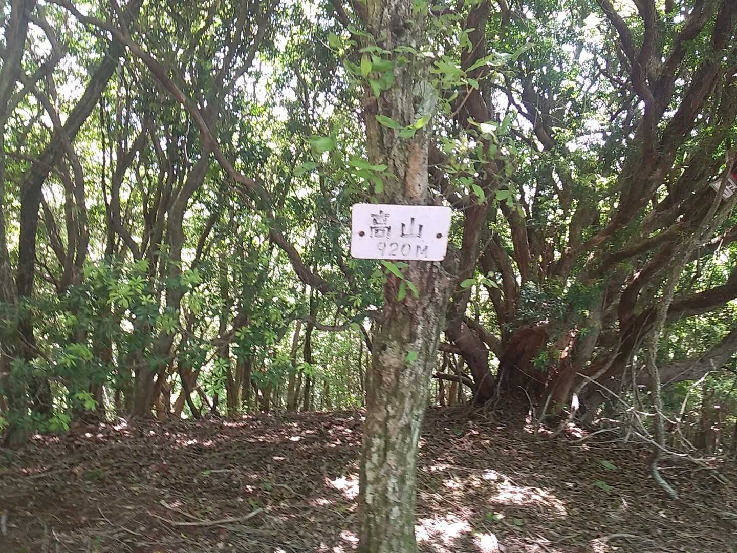 高山（奈良県宇陀郡御杖村）の写真
