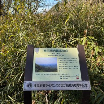 横浜最高地点！