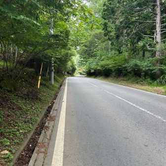 最後の舗装路が地味に疲れた