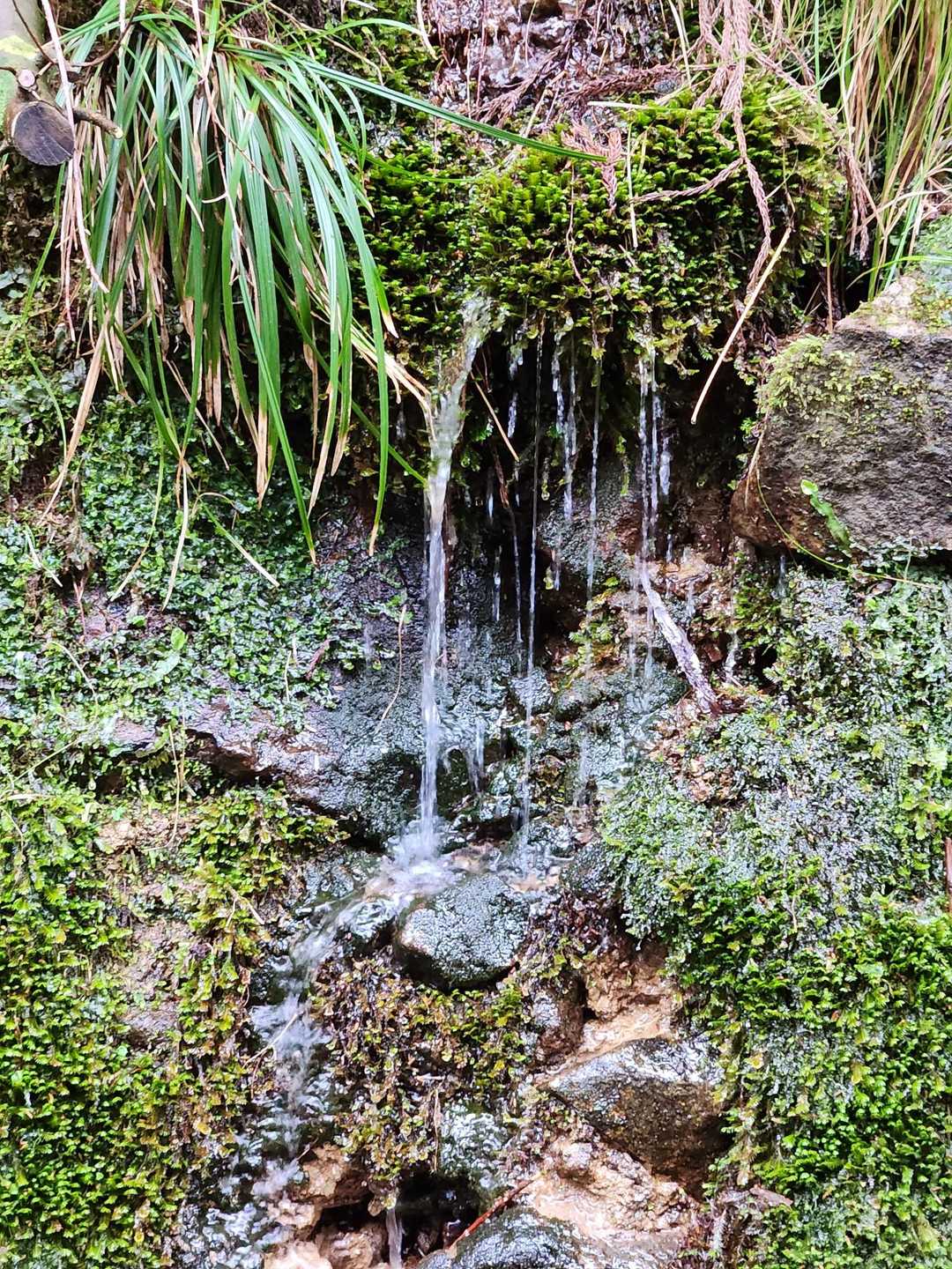 夫婦山-夫婦山 往復コースの写真