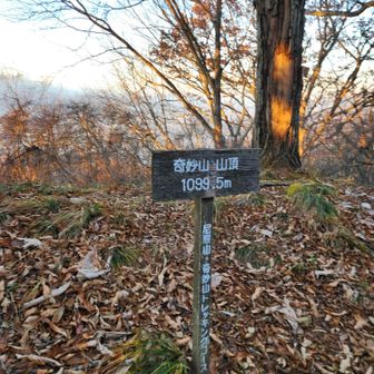 本イベント最高峰の奇妙山（1099m）