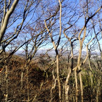 枝野隙間から絶景が👀