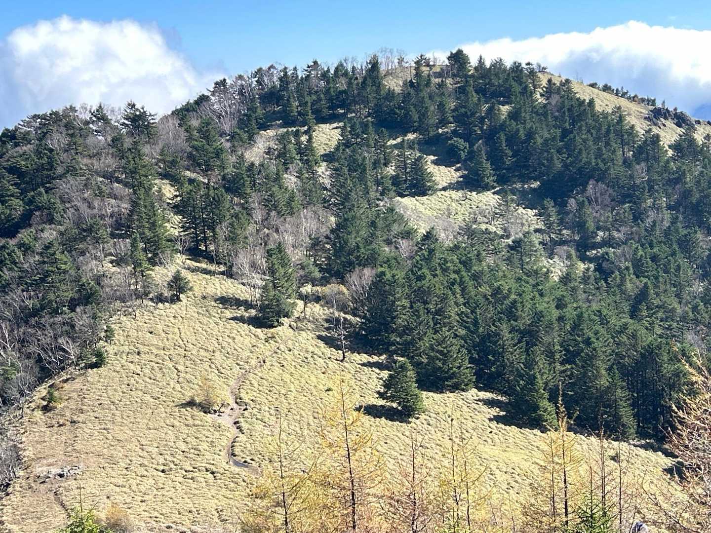 そして、見たかったこの景色。
石丸峠からの下り。
笹原草原