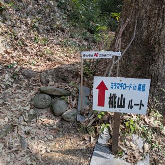 周回なので、またここから登ります(^_^;)💪