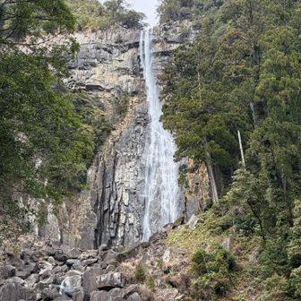 瀧神社の御神体として崇められている那智の滝。
この滝は日本三名瀑の一つでもあり落差133mの滝の流れは迫力がある。300円支払いお滝拝所まで行ってきました。

参拝料：無料
参拝可能時間：午前7時～午後4時30分

＜お滝拝所＞
大人300円、中学生以下 200円