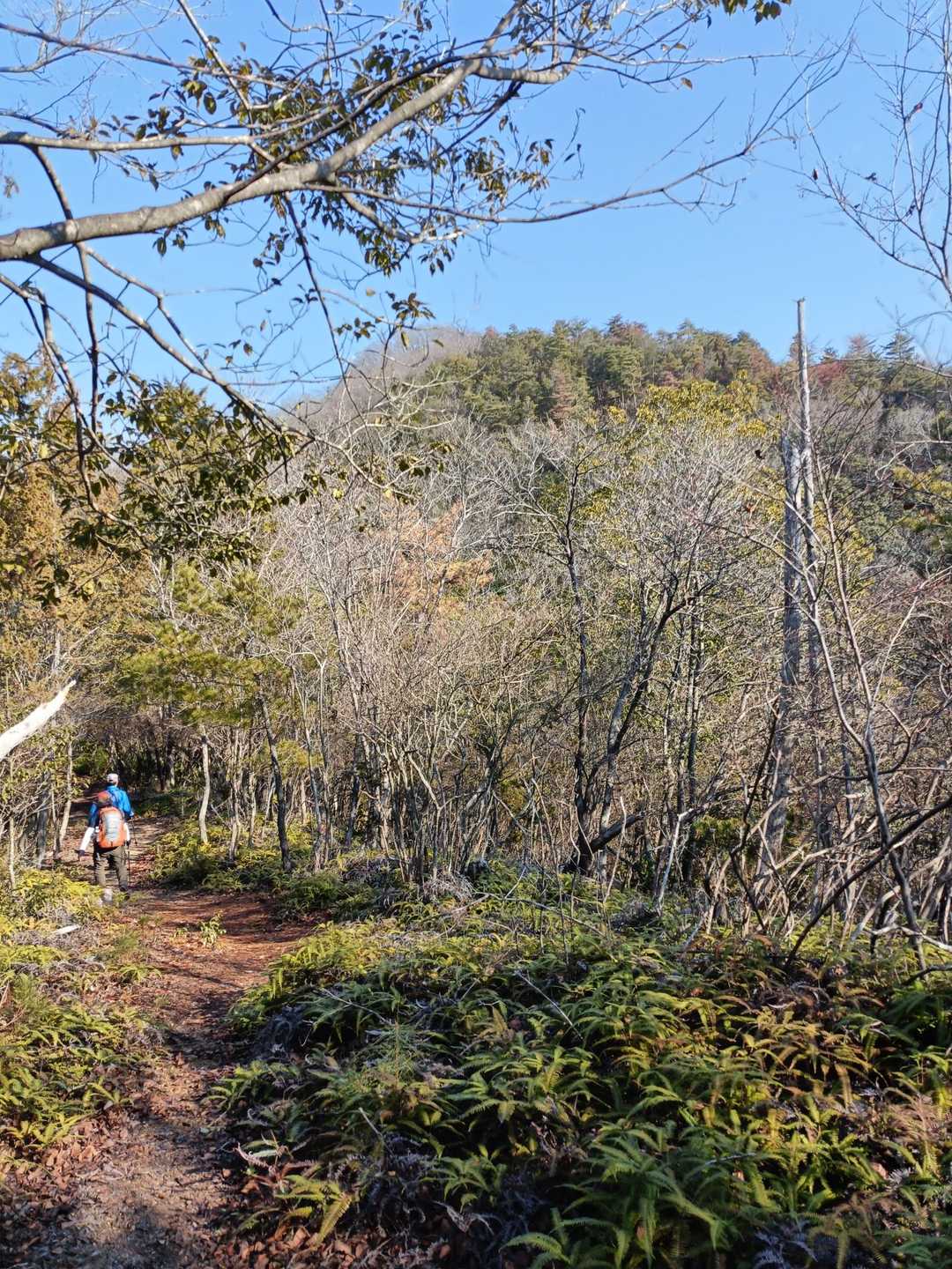前方に見えてるのが城山かなぁ🤔