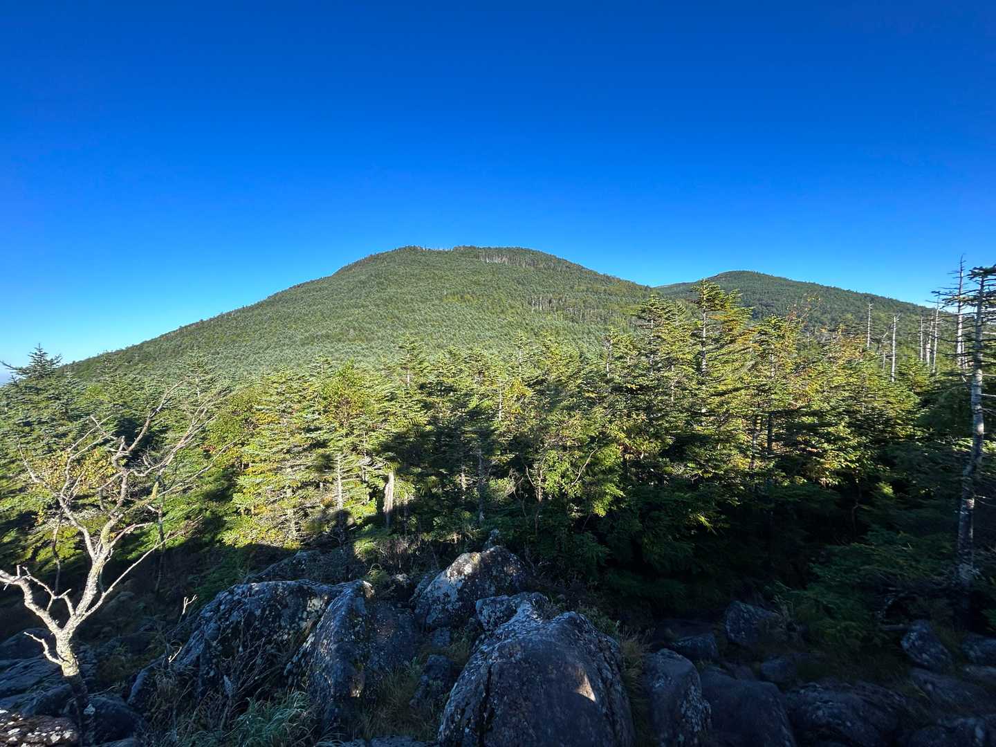 茶臼山、縞枯山。