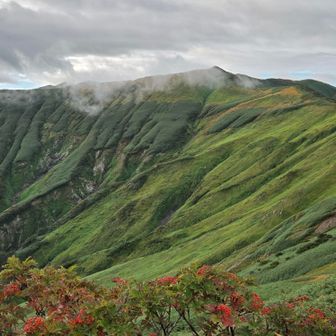 北股岳✨