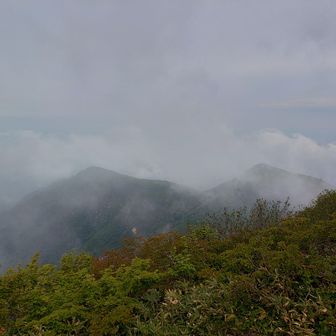 残念、雲が視界を隠す