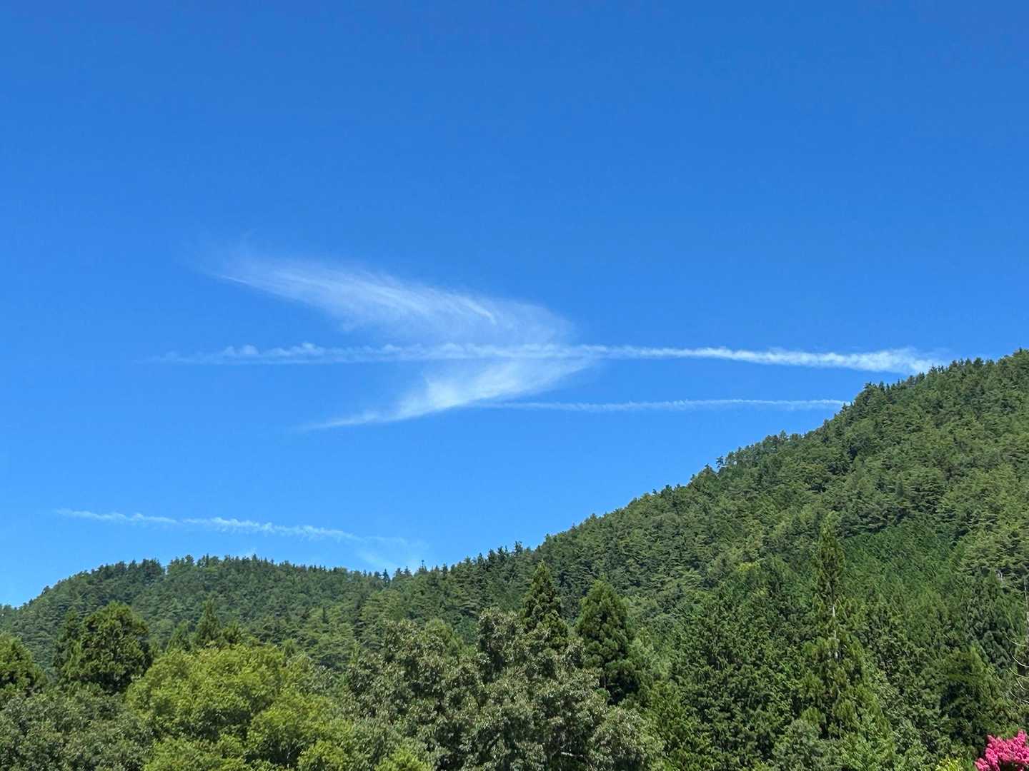 弓矢雲🏹