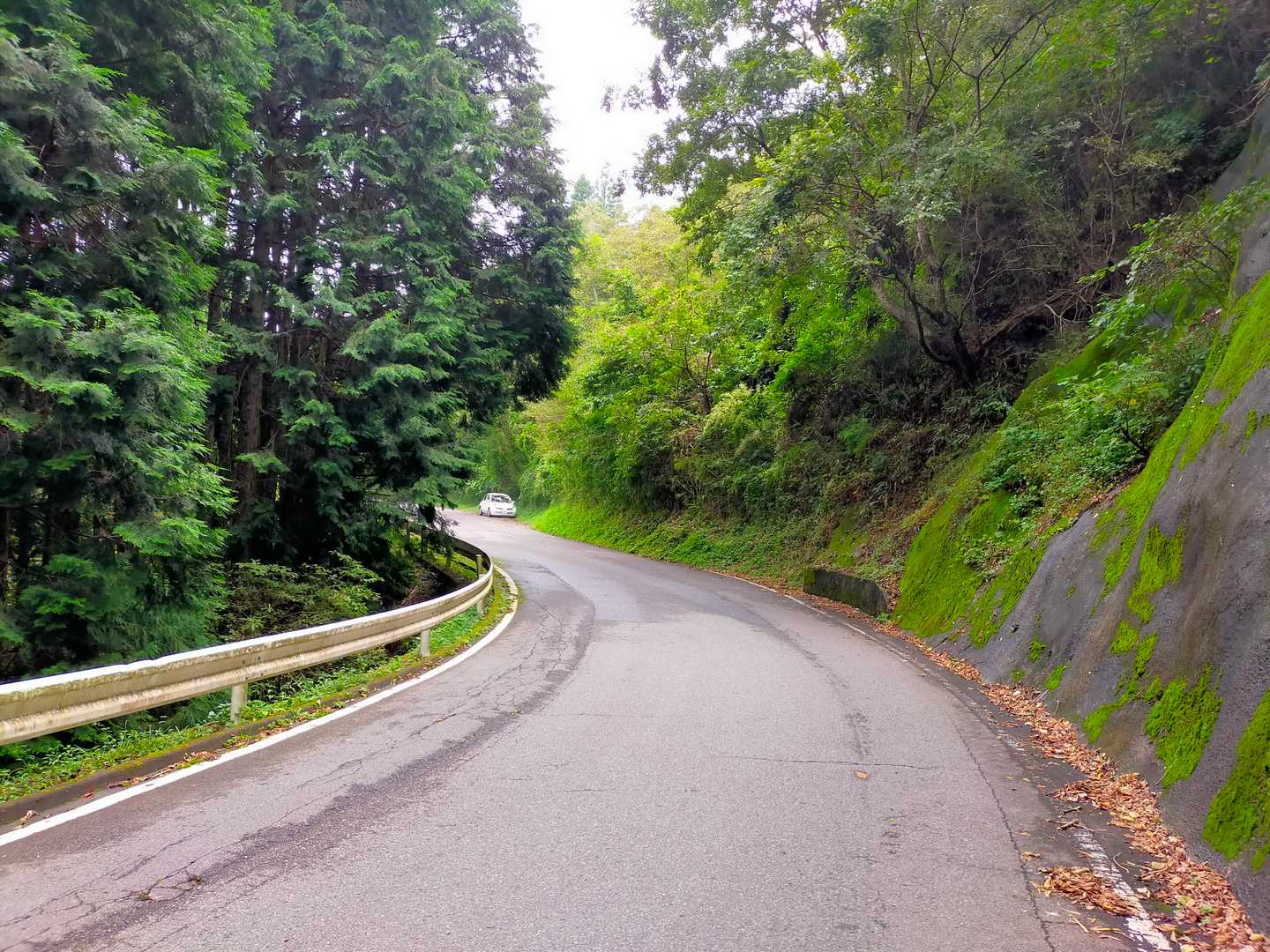 下山して車のところまでで終了😄