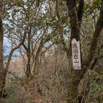 猟師岩山山頂